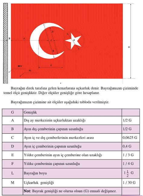 7 sınıf türk
